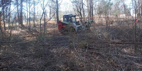 Land Clearing, Lot Clearing, Brush Clearing